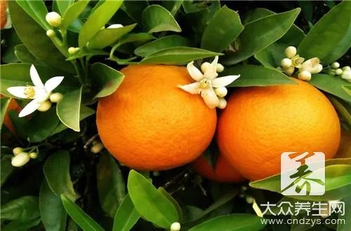 吃橘子上火还是败火