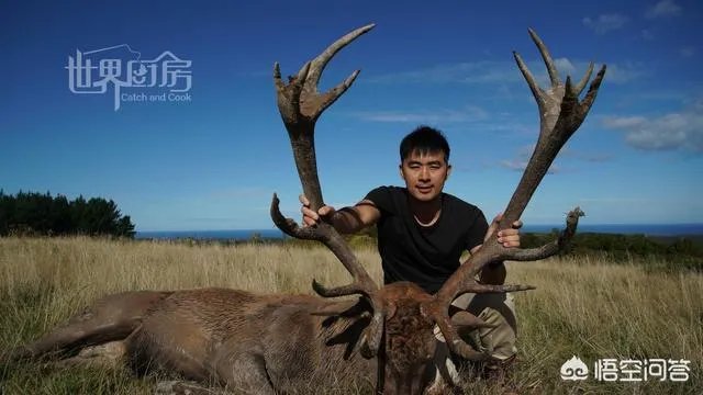 除了《游钓中国》,你还喜欢什么钓鱼类视频?