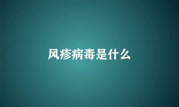 风疹病毒是什么