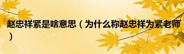 赵忠祥紧是啥意思(为什么称赵忠祥为紧老师)