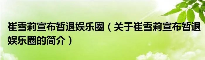 崔雪莉宣布暂退娱乐圈（关于崔雪莉宣布暂退娱乐圈的简介）