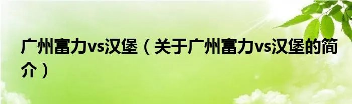 广州富力vs汉堡（关于广州富力vs汉堡的简介）