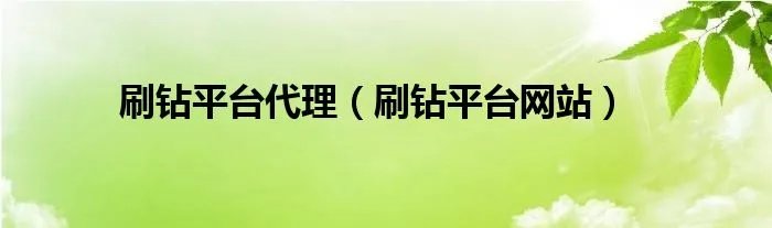 刷钻平台代理（刷钻平台网站）