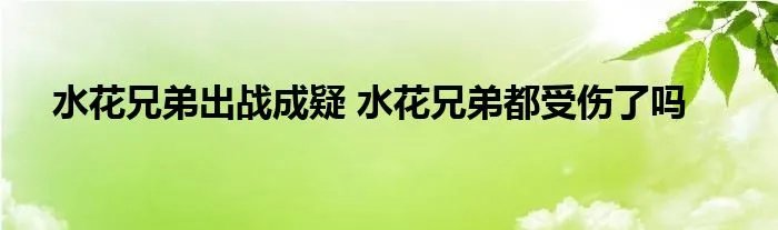 水花兄弟出战成疑 水花兄弟都受伤了吗