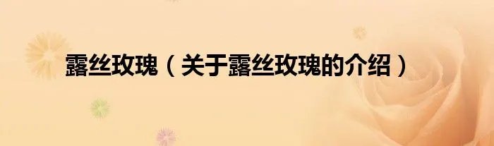 露丝玫瑰（关于露丝玫瑰的介绍）