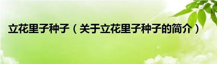 立花里子种子（关于立花里子种子的简介）