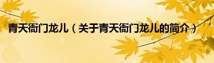 青天衙门龙儿（关于青天衙门龙儿的简介）