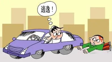 雪天骑马撞人逃逸将受到什么处罚?