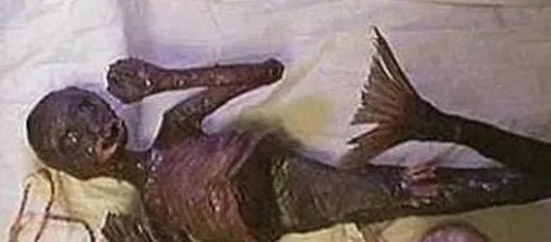 3000年神秘人鱼遗体竟罕见曝光（图）