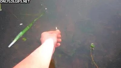 亚洲女平衡大师简介（搞笑趣图：蛇精转世！舌头舔鼻尖）