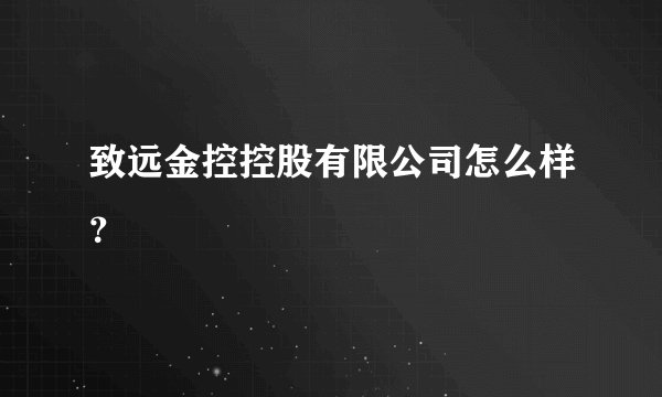 致远金控控股有限公司怎么样？