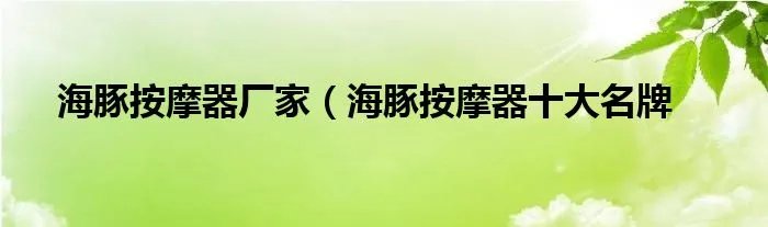 海豚按摩器厂家（海豚按摩器十大名牌