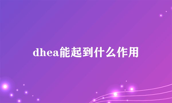 dhea能起到什么作用