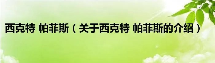 西克特 帕菲斯（关于西克特 帕菲斯的介绍）