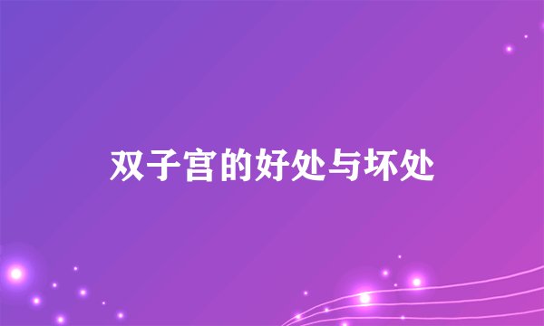双子宫的好处与坏处