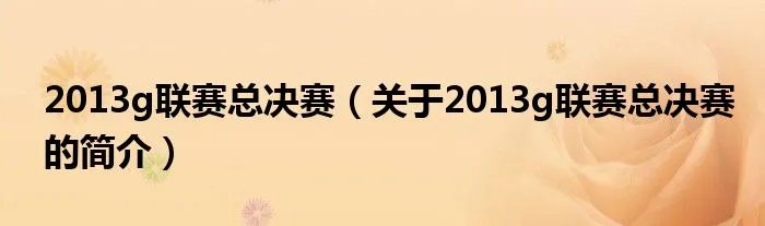 2013g联赛总决赛（关于2013g联赛总决赛的简介）