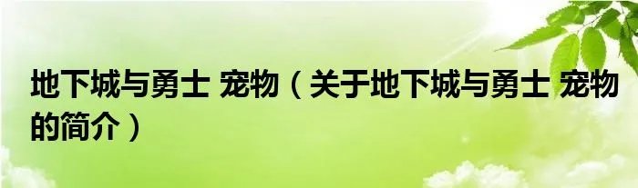 地下城与勇士 宠物（关于地下城与勇士 宠物的简介）