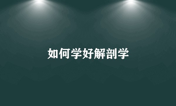 如何学好解剖学