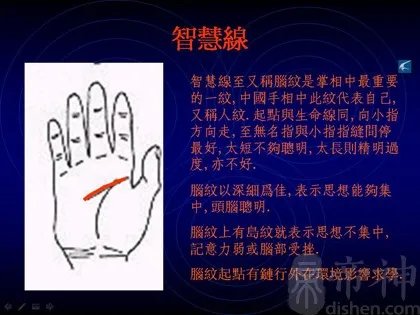 教你如何看手相?看手相算命图解大全