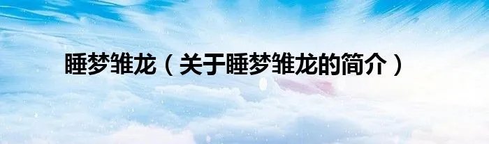 睡梦雏龙（关于睡梦雏龙的简介）