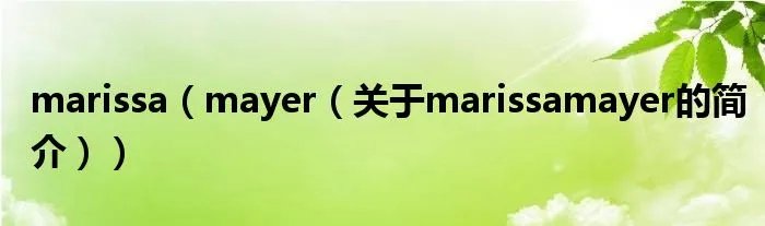 marissa(mayer(关于marissamayer的简介))
