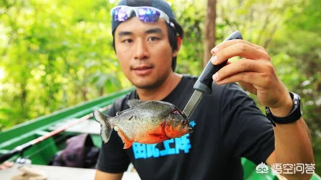 除了《游钓中国》,你还喜欢什么钓鱼类视频?