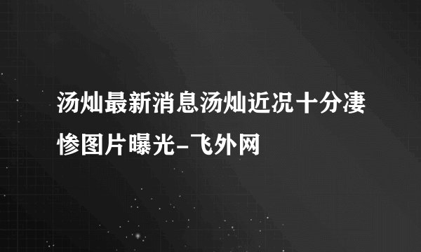 汤灿最新消息汤灿近况十分凄惨图片曝光-飞外网