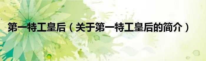 第一特工皇后（关于第一特工皇后的简介）