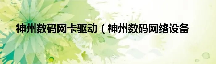 神州数码网卡驱动（神州数码网络设备