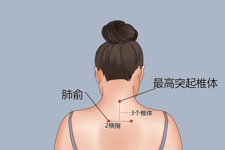 肺俞准确位置图和作用功效
