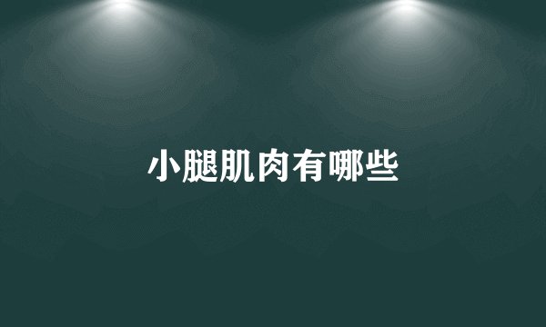 小腿肌肉有哪些