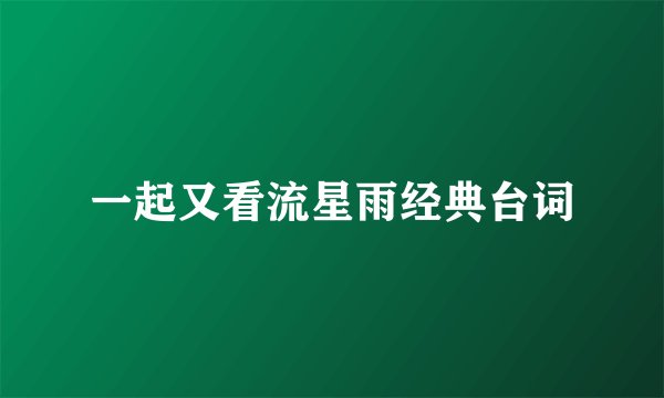 一起又看流星雨经典台词