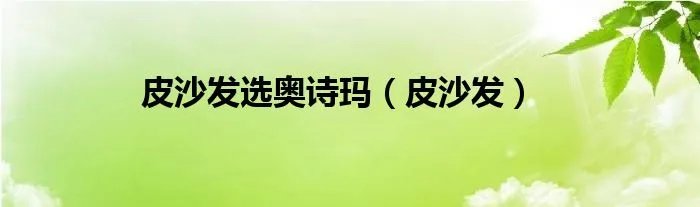 皮沙发选奥诗玛（皮沙发）