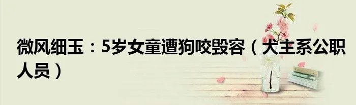微风细玉：5岁女童遭狗咬毁容（犬主系公职人员）