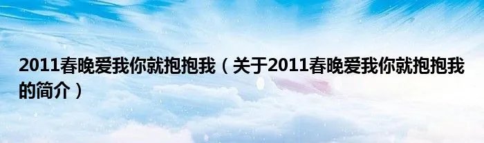 2011春晚爱我你就抱抱我（关于2011春晚爱我你就抱抱我的简介）