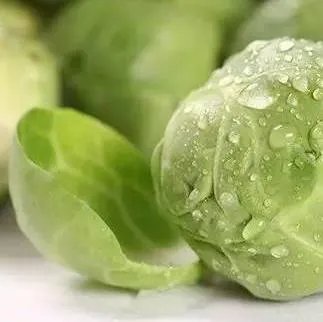 血液垃圾的天敌!中年以后一定要记得吃!(图文介绍)