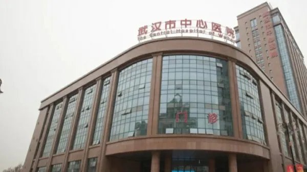 蔡莉不再担任武汉市中心医院党委书记,她做了什么事?