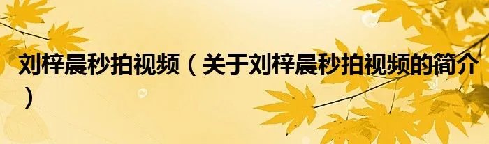 刘梓晨秒拍视频（关于刘梓晨秒拍视频的简介）