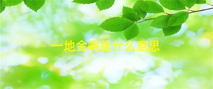 一地金啊是什么意思