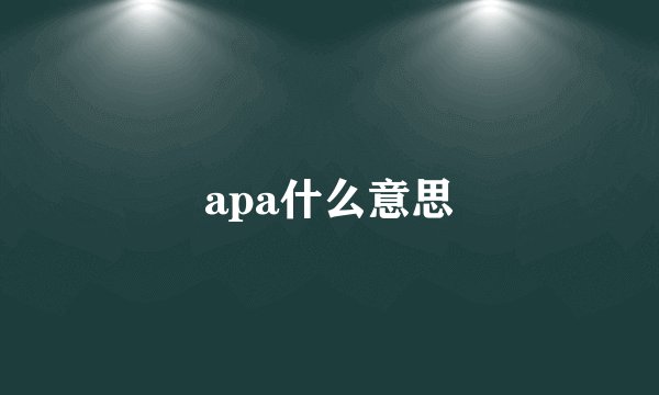 apa什么意思