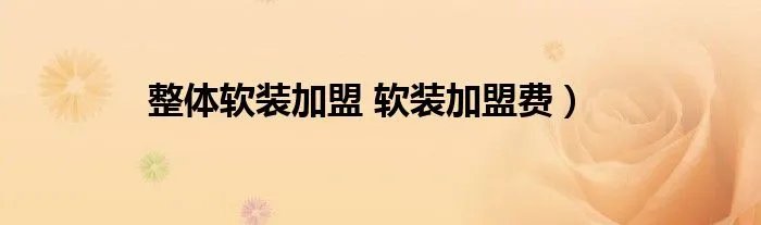 整体软装加盟 软装加盟费）