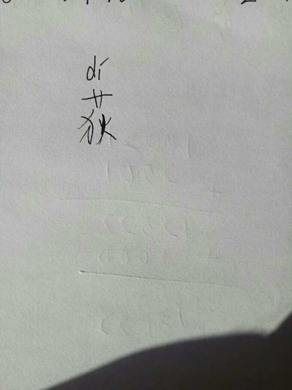荻怎么读
