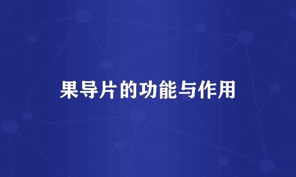 果导片的功能与作用