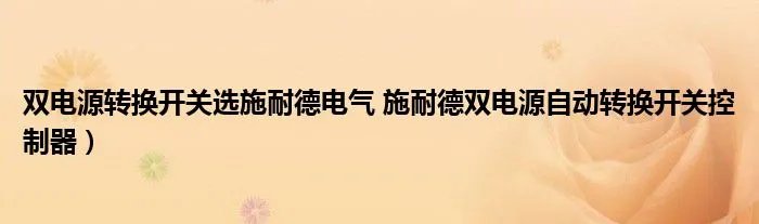 双电源转换开关选施耐德电气 施耐德双电源自动转换开关控制器)