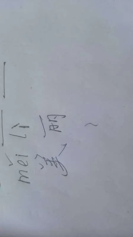 美丽的拼音