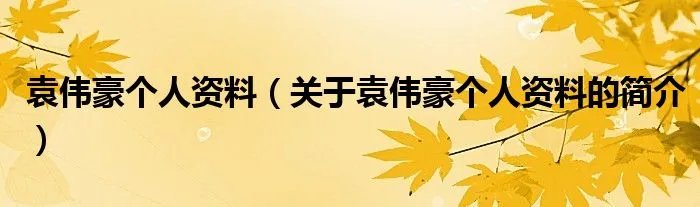 袁伟豪个人资料（关于袁伟豪个人资料的简介）