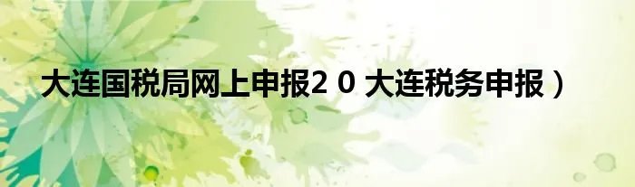 大连国税局网上申报2 0 大连税务申报）