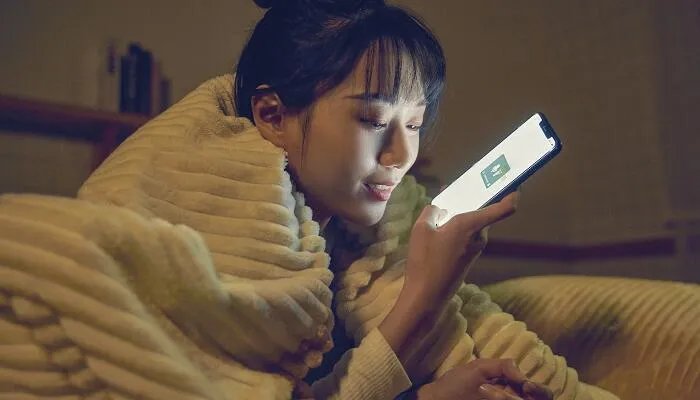 漫游是什么意思