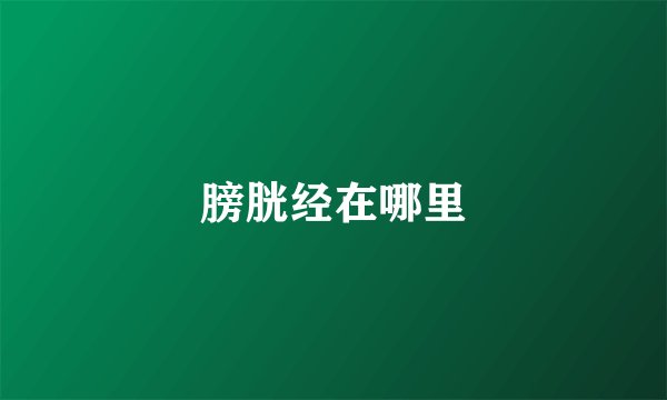 膀胱经在哪里