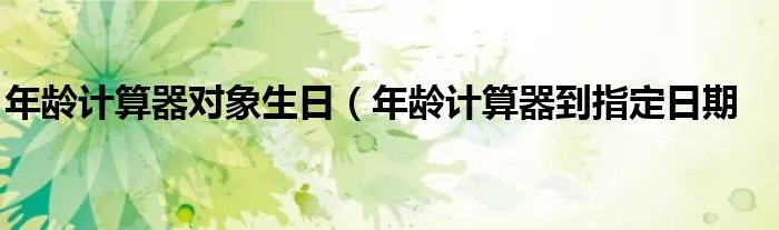 年龄计算器对象生日（年龄计算器到指定日期